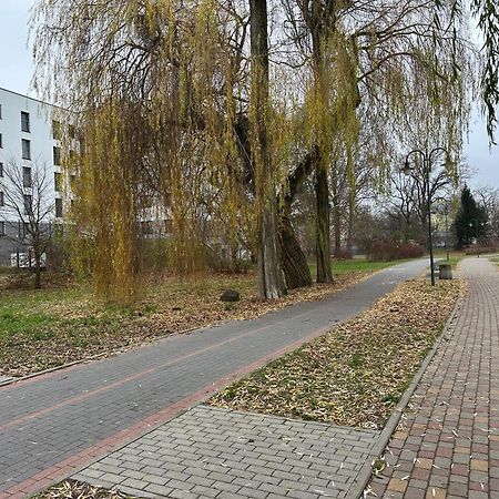 Apartament Kosciuszki 33F Iława エクステリア 写真